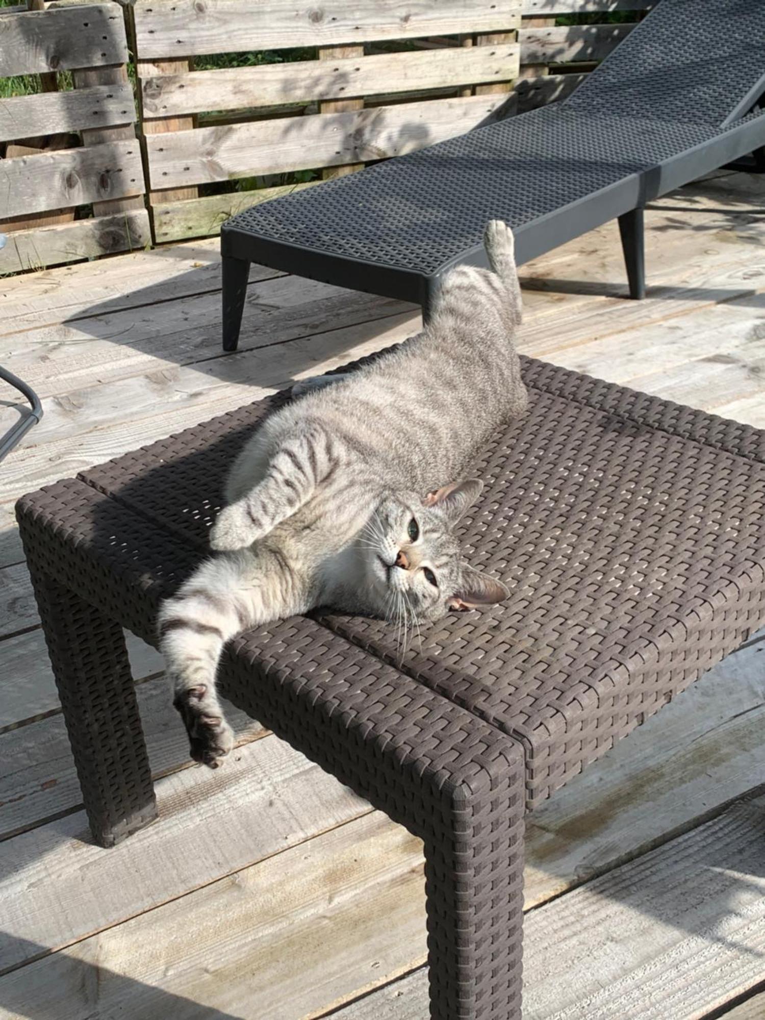 Cookie Home Dolomieu Luaran gambar